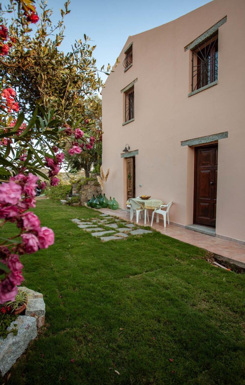 Villa Peditoltu Olbia Bagian luar foto