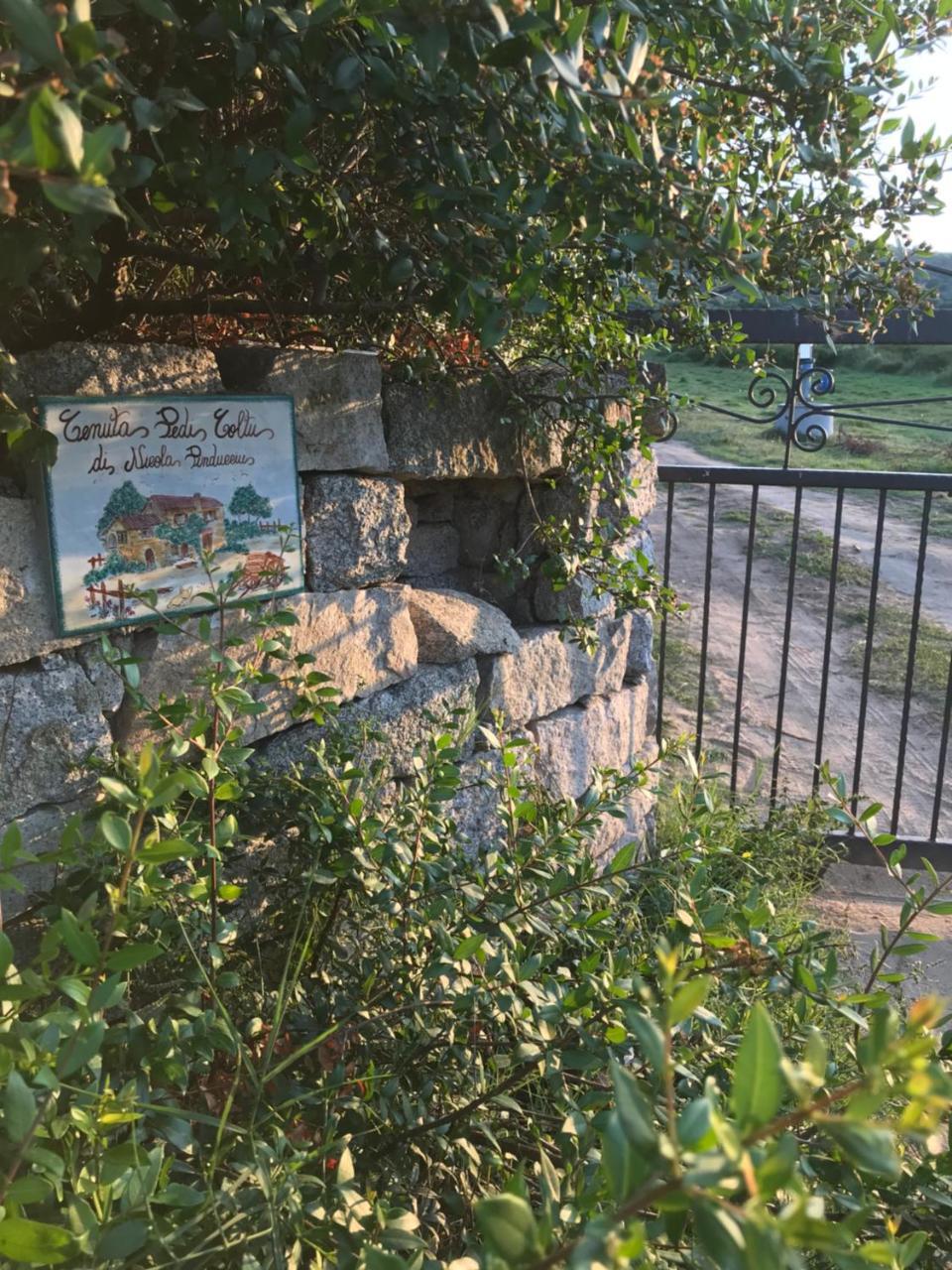 Villa Peditoltu Olbia Bagian luar foto